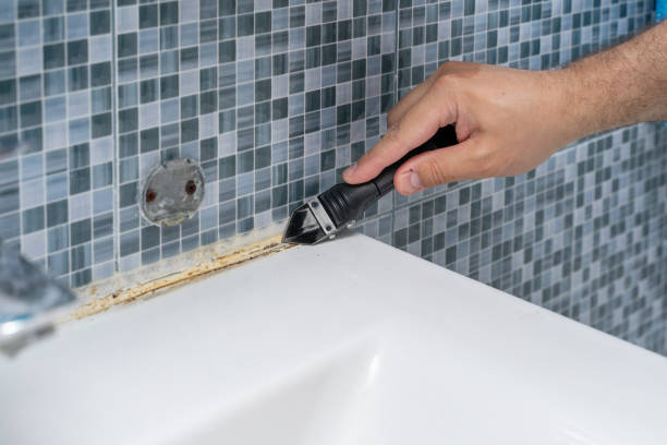 Best Mold Removal Specialists  in Kingston, TN